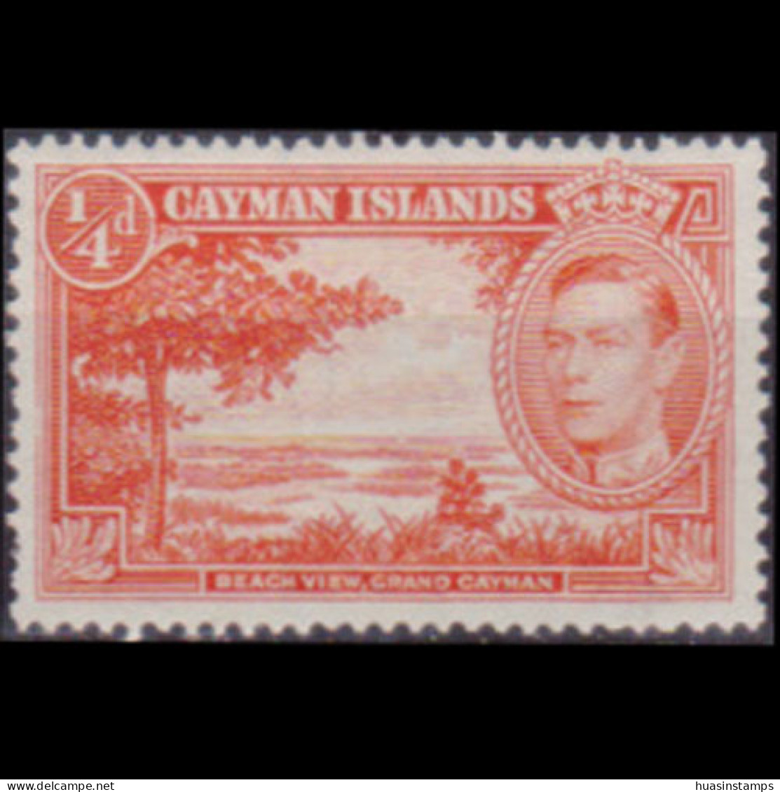 CAYMAN IS. 1943 - Scott# 100a Beach View 1/4p MNH - Caimán (Islas)