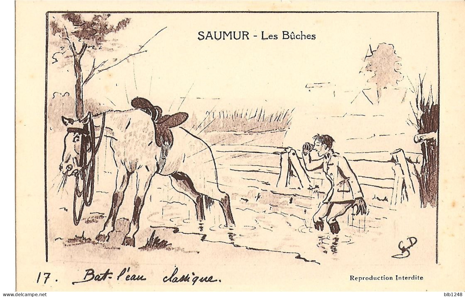 [49] Maine Et Loire > Saumur - Les Buches - N°17 -  Illustrateur Ged- Cheval Dessin - Saumur