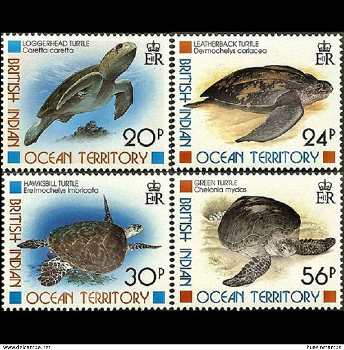 BR.I.O.T. 1996 - Scott# 181-4 Turtles Set Of 4 MNH - Territoire Britannique De L'Océan Indien