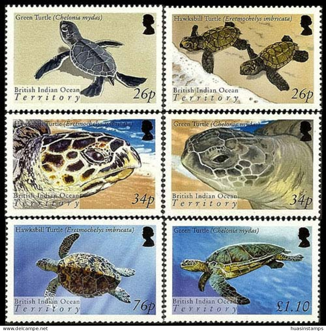 BR.I.O.T. 2005 - Scott# 290-5 Turtles Set Of 6 MNH - Britisches Territorium Im Indischen Ozean