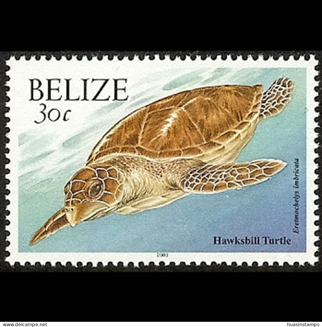 BELIZE 2003 - Scott# 1123a Turtle Dated 2003 30c MNH - Belice (1973-...)