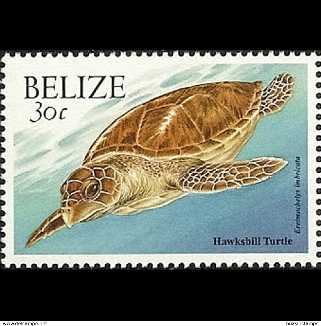 BELIZE 2000 - Scott# 1123 Hawksbill Turtle 30c MNH - Belice (1973-...)