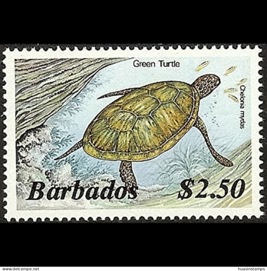 BARBADOS 1985 - Scott# 657 Green Turtle $2.50 MNH - Barbades (1966-...)