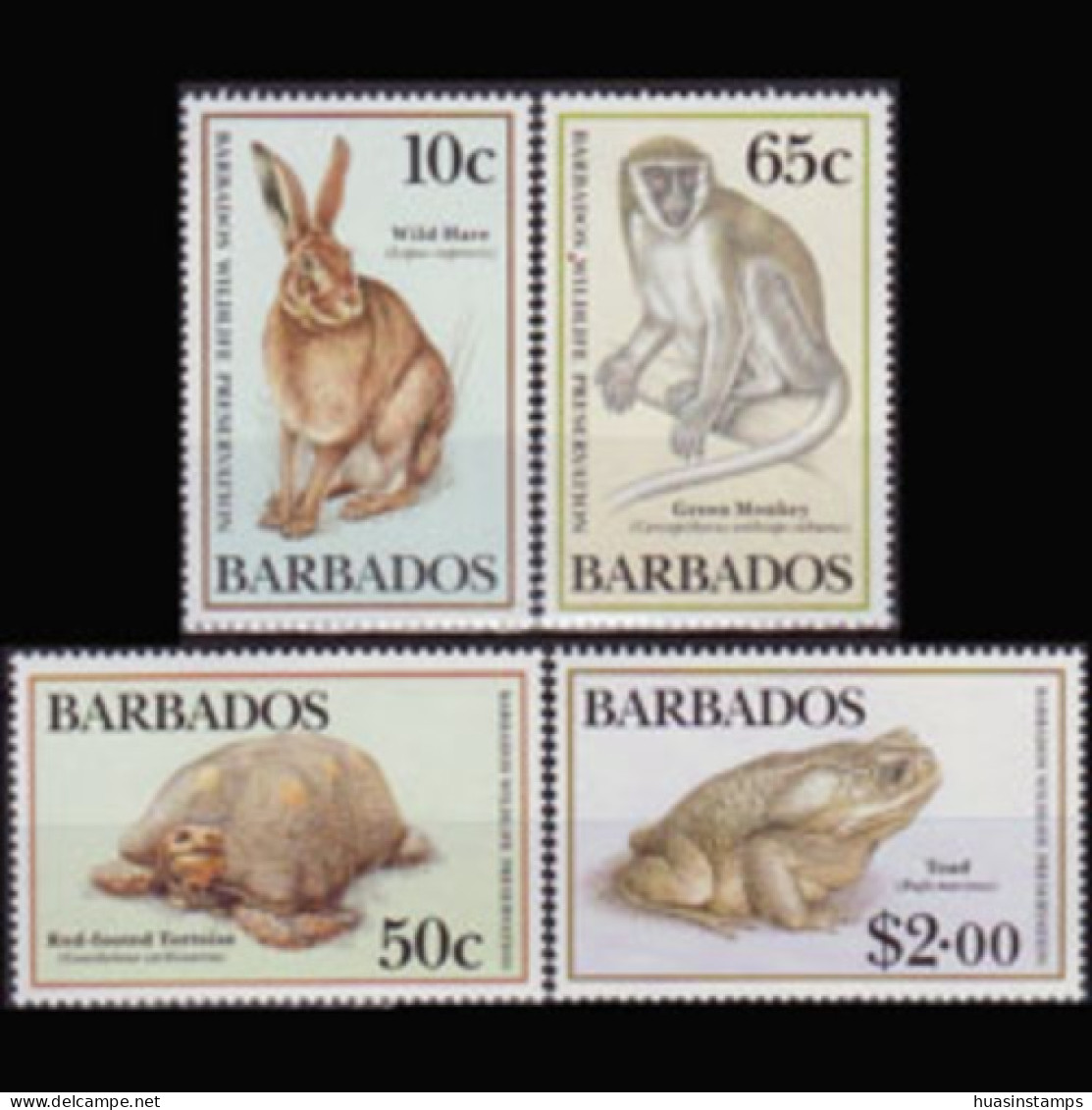 BARBADOS 1989 - Scott# 747-50 Wildlife Set Of 4 MNH - Barbados (1966-...)