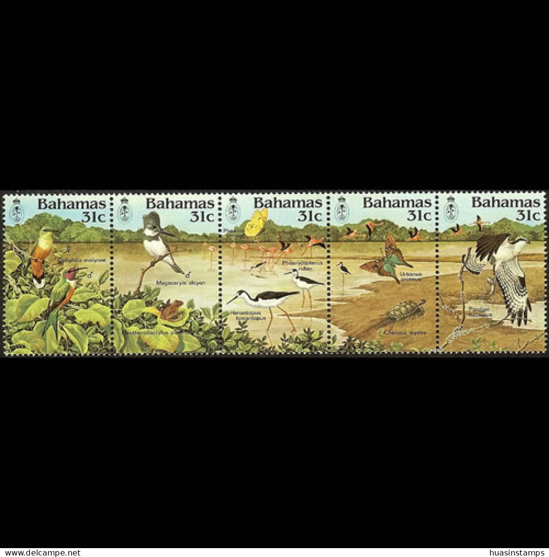 BAHAMAS 1984 - Scott# 568 Birds Set Of 5 MNH - Bahamas (1973-...)