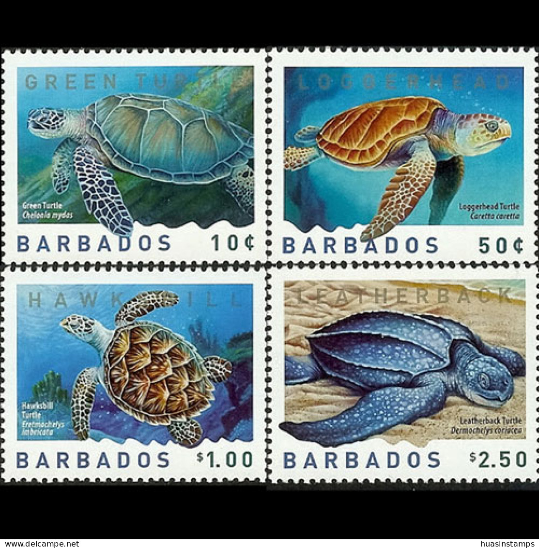 BARBADOS 2007 - Scott# 1131-4 Turtles Set Of 4 MNH - Barbades (1966-...)