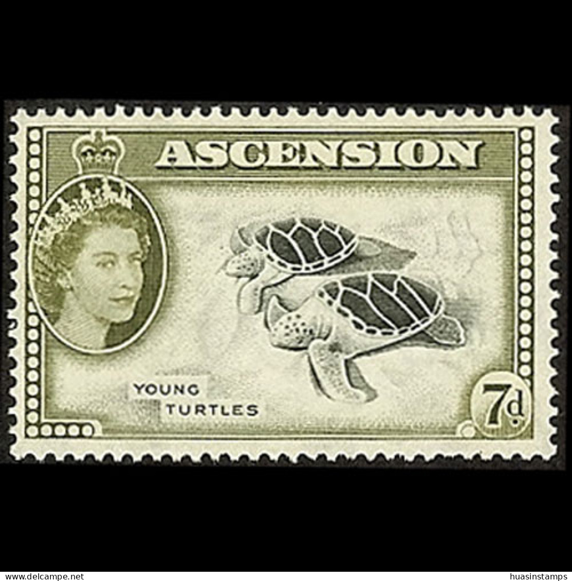 ASCENSION 1956 - Scott# 70 Green Turtle 7p MNH - Ascension (Ile De L')