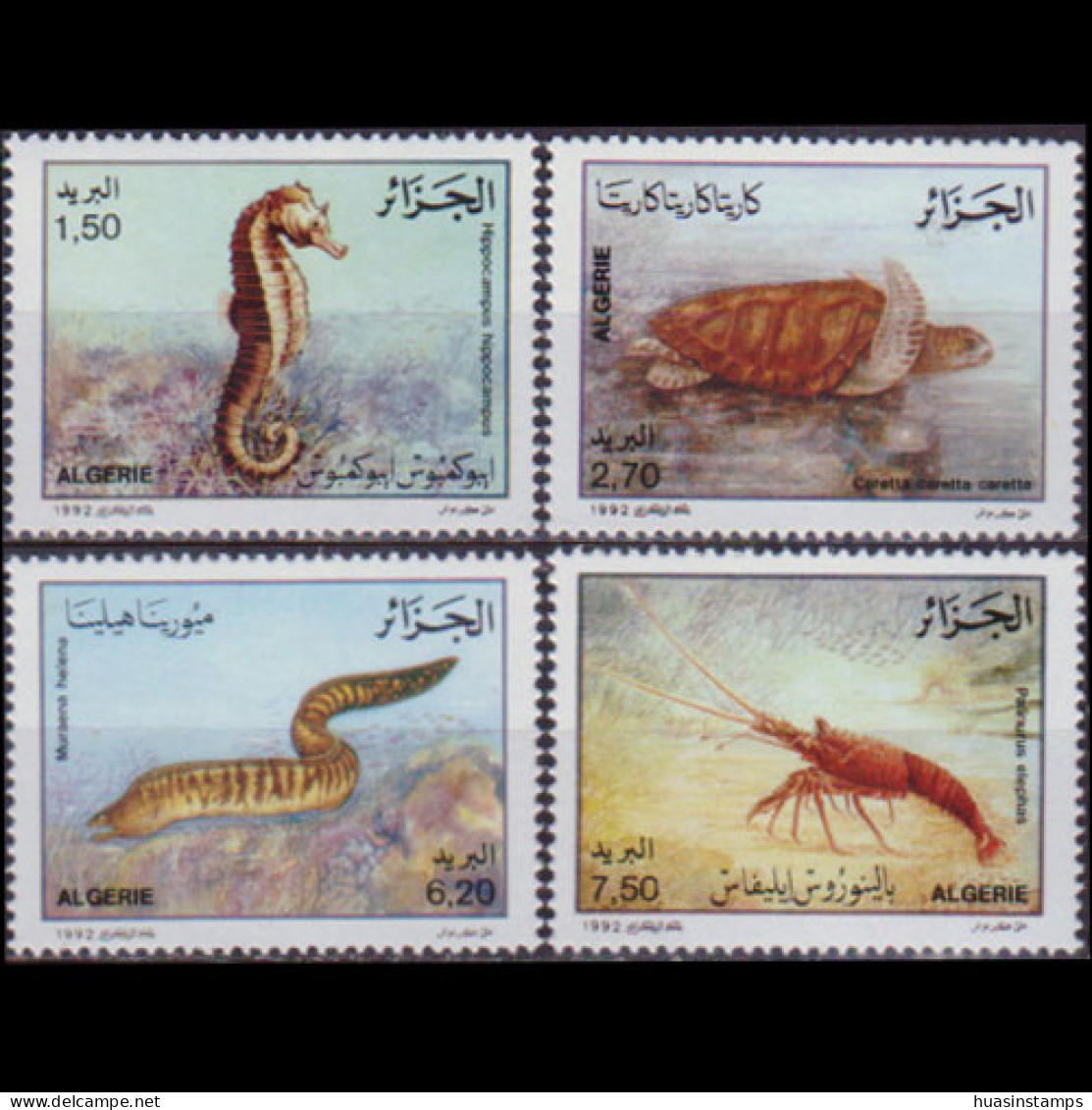 ALGERIA 1992 - Scott# 966-9 Marine Life Set Of 4 MNH - Algerien (1962-...)