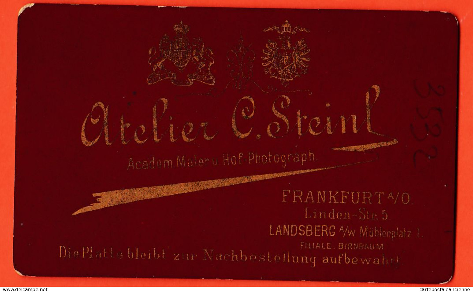 31196 / Photo CDV Atelier STEINL Linden Street 5 FRANKFURT ● Jeune Femme Buste ● Photographie XIXem  - Anonymous Persons