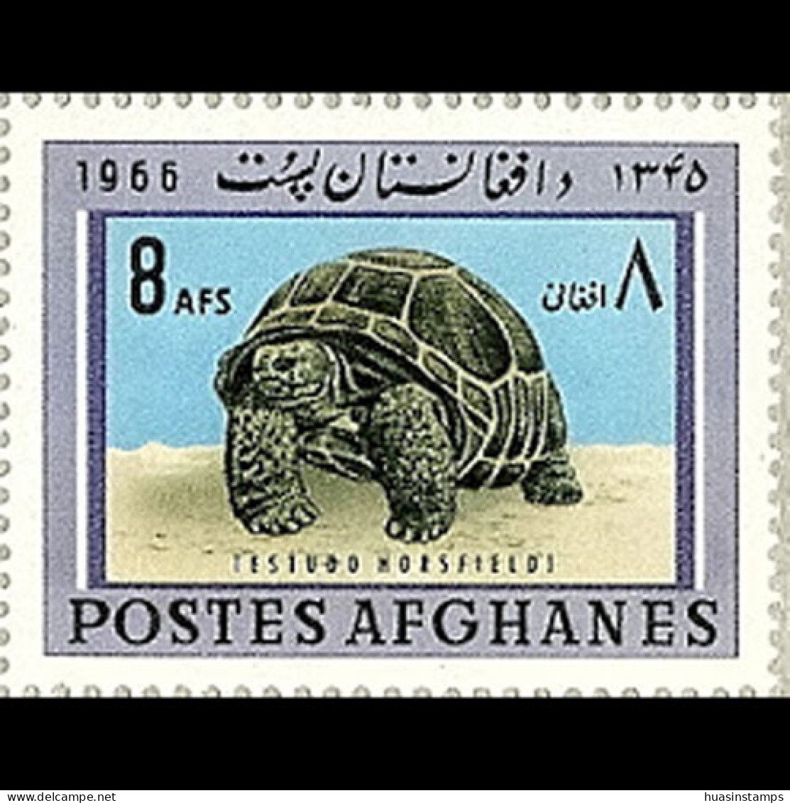 AFGHANISTAN 1966 - Scott# 726 Tortois 8a MNH - Afghanistan