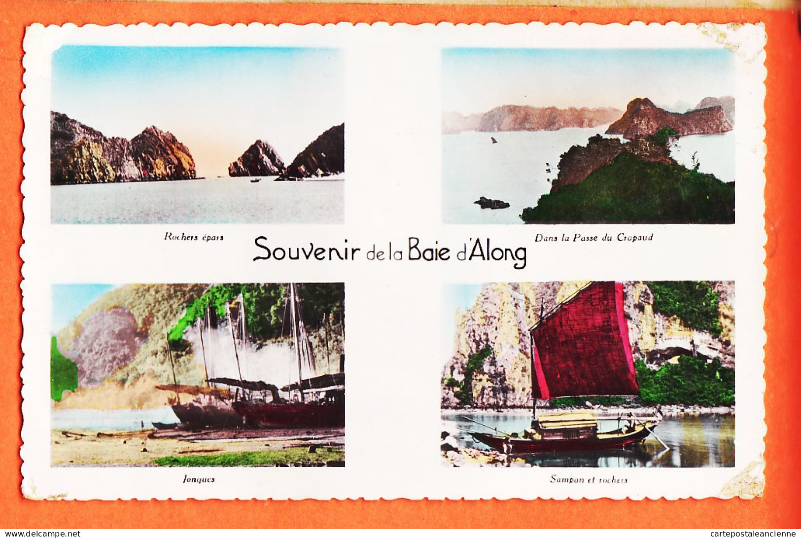 31137 / Lisez Bonne Nouvelle Retour France Galon Souvenir Baie ALONG Multivues 18-09-1954 P.C Cliché Edit Colonies - Vietnam