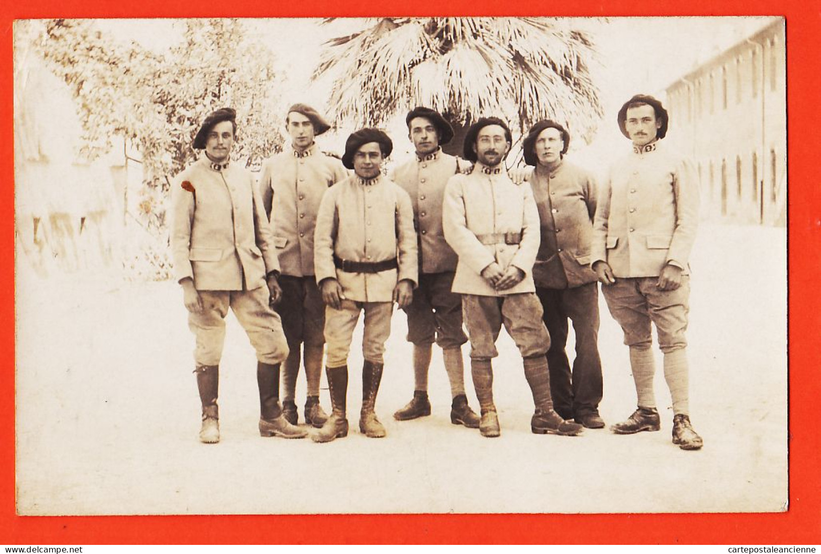 31495 / Carte-Photo Chasseurs Alpins 2e Régiment 1915s Groupes Soldats Militaires  Palmiers  - Regimente