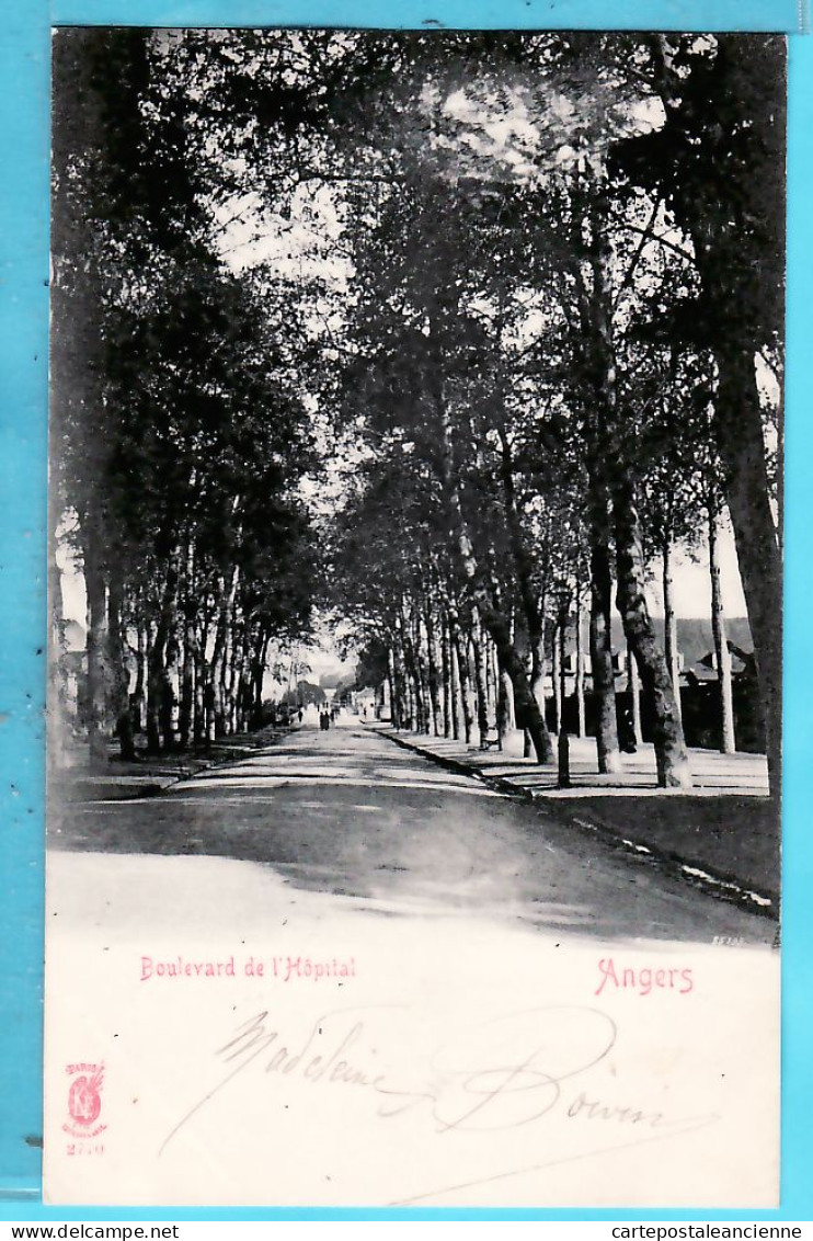 31363 / ANGERS 49-Maine Loire Boulevard De L' HOPITAL Allée Arbres 1900s Editions K-L 2770 - Angers