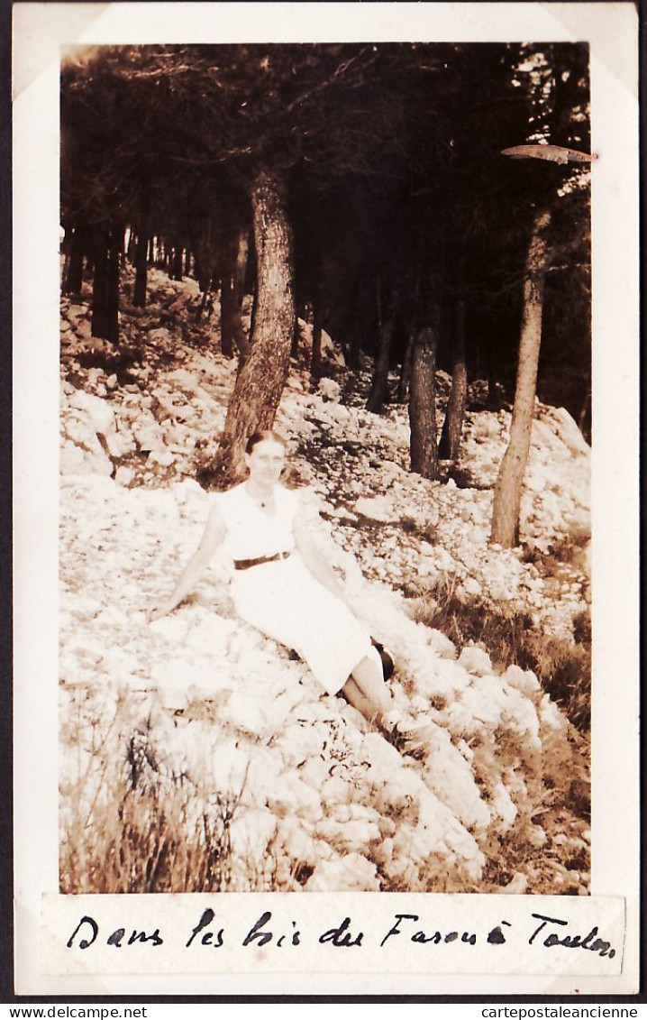 31320 / 5 Photographies TOULON Scène Plage SABLETTES Jeune Femme Bois FAROU Souvenir Voyage MEDITERRANEE 1925s VAR - Places