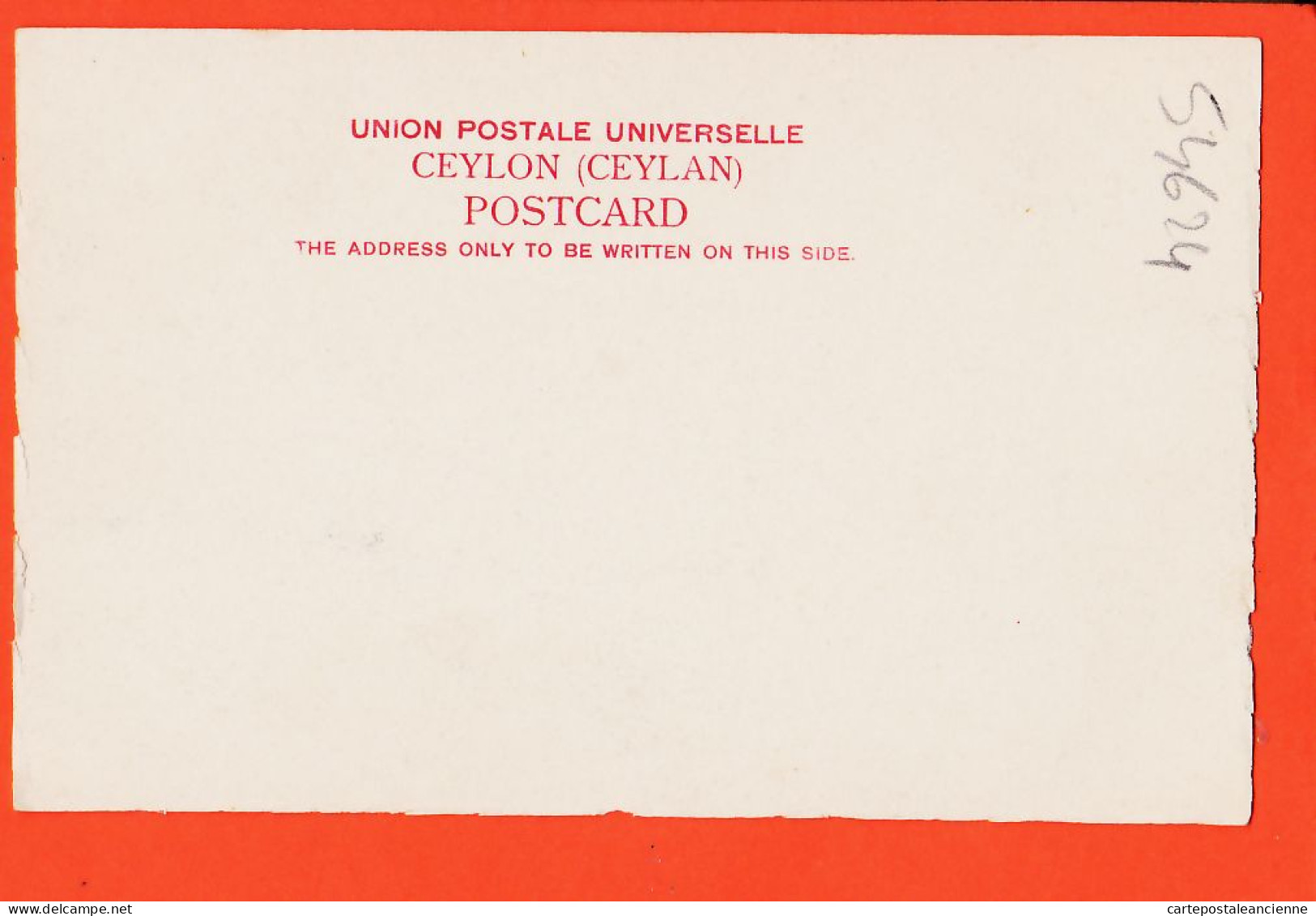 31096 / Carte Non Légendée CEYLON Ceylan Sri-Lanka 1900s - Sri Lanka (Ceilán)