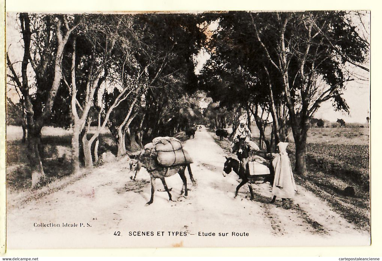 31238 / Peu Commun Scenes Types Maroc  Etude Sur ROUTE Transport Mule Ane 1910s Collection Ideale P.S 42 Morocco - Autres & Non Classés