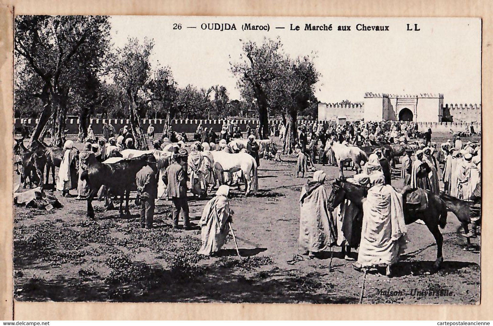 31242 / OUDJDA Maroc Place Le MARCHE Aux CHEVAUX Horses Market 16.06.1929 -LEVY NEURDEIN 26 - Autres & Non Classés