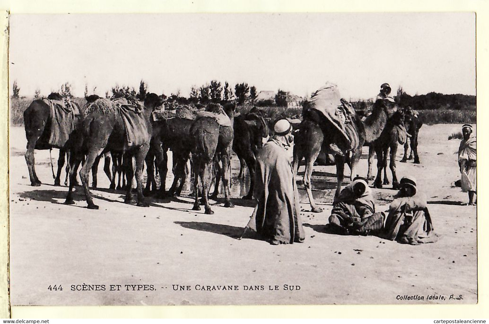 31239 / Scenes Et Types Maroc Une CARAVANE Dans Le SUD Marocain Chameaux Camel 1910s Collection Ideale P.S 444 Morocco - Other & Unclassified