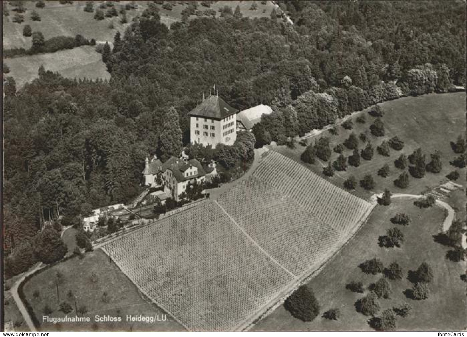 11310045 Gelfingen Schloss Heidegg   Fliegeraufnahme Gelfingen - Sonstige & Ohne Zuordnung