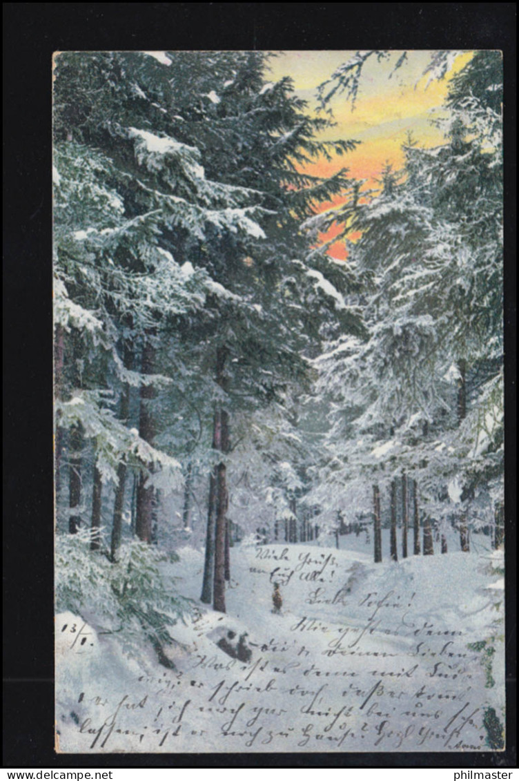 Künstler-AK Sonnenaufgang Im Winterwald, MÜNCHEN 14.1.1905 Nach NEUBURG 14.1.05 - Non Classificati