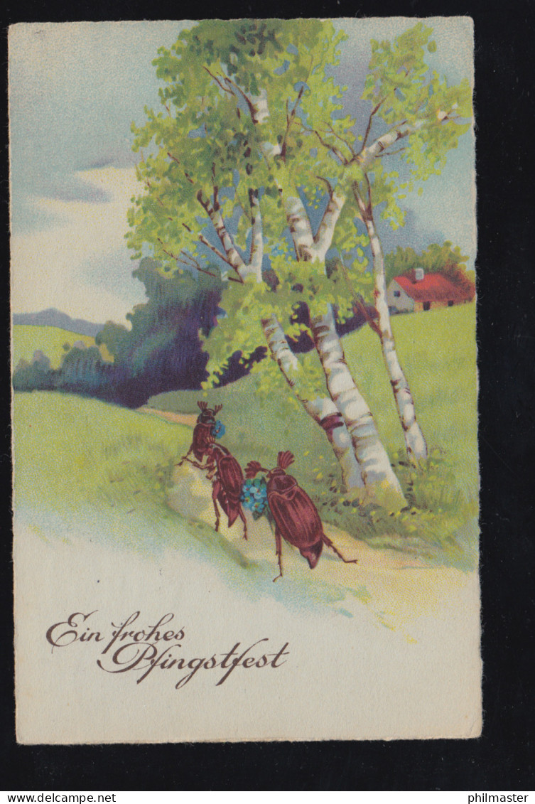 Tiere-AK Pfingsten Maikäfer Zu Fuß Mit Veilchenstrauß, NÜRNBERG 14.5.1932 - Sonstige & Ohne Zuordnung