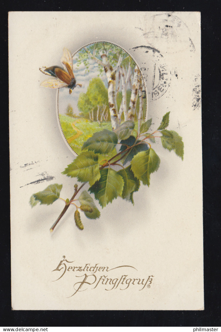 Tiere-AK Pfingsten Fliegender Maikäfer Und Birkenwald, BERLIN S. 42 - 22.5.1920 - Sonstige & Ohne Zuordnung