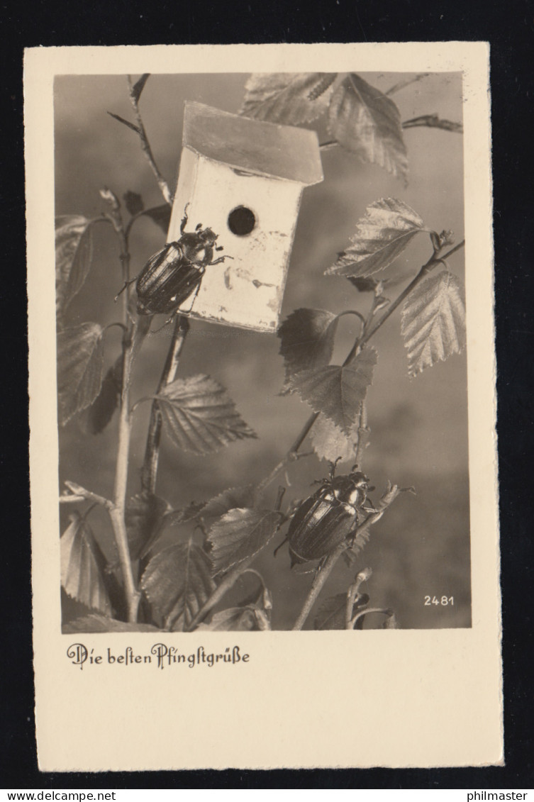 Foto-AK Tiere: Pfingsten - Zwei Maikäfer Mit Insektenhäuschen, 10.5.1940 - Sonstige & Ohne Zuordnung