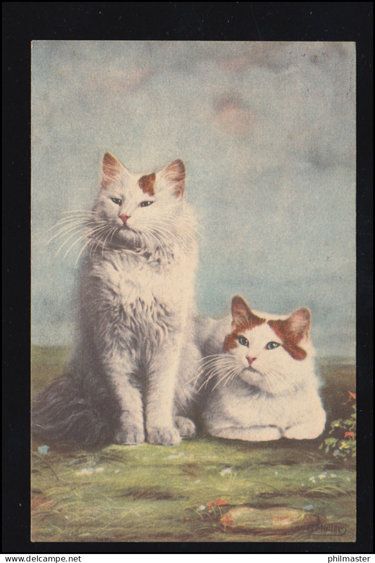 Tiere-AK Katzen-Paar, DORTMUND 15.12.1940 - Katzen