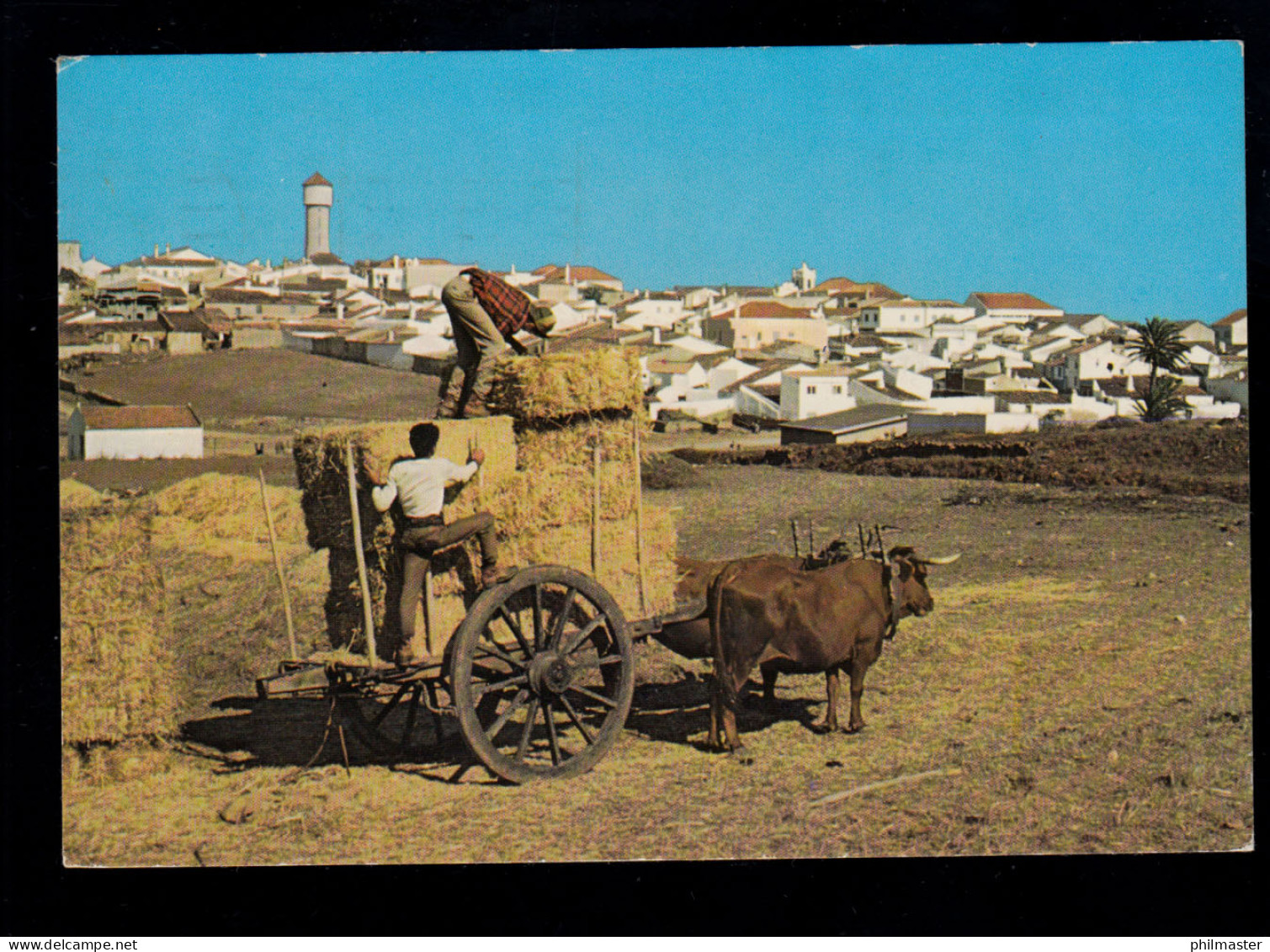 AK Portugal: Ochsenkarren Bei Vila Do Bispo, Frankatur Landmaschinen 1979 - Sonstige & Ohne Zuordnung