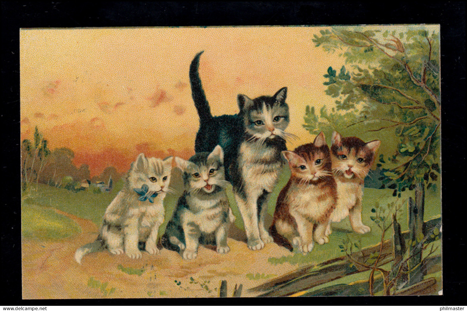 Tiere-AK Katzenfamilie - Mutter Mit Vier Kindern, Ungebraucht - Cats