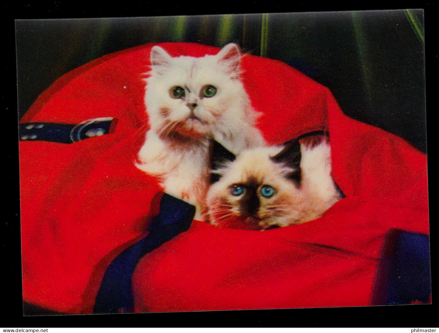 3D-AK Tiere: Zwei Katzen Aus Roter Tasche Hervorschauend, Ungebraucht - Gatti