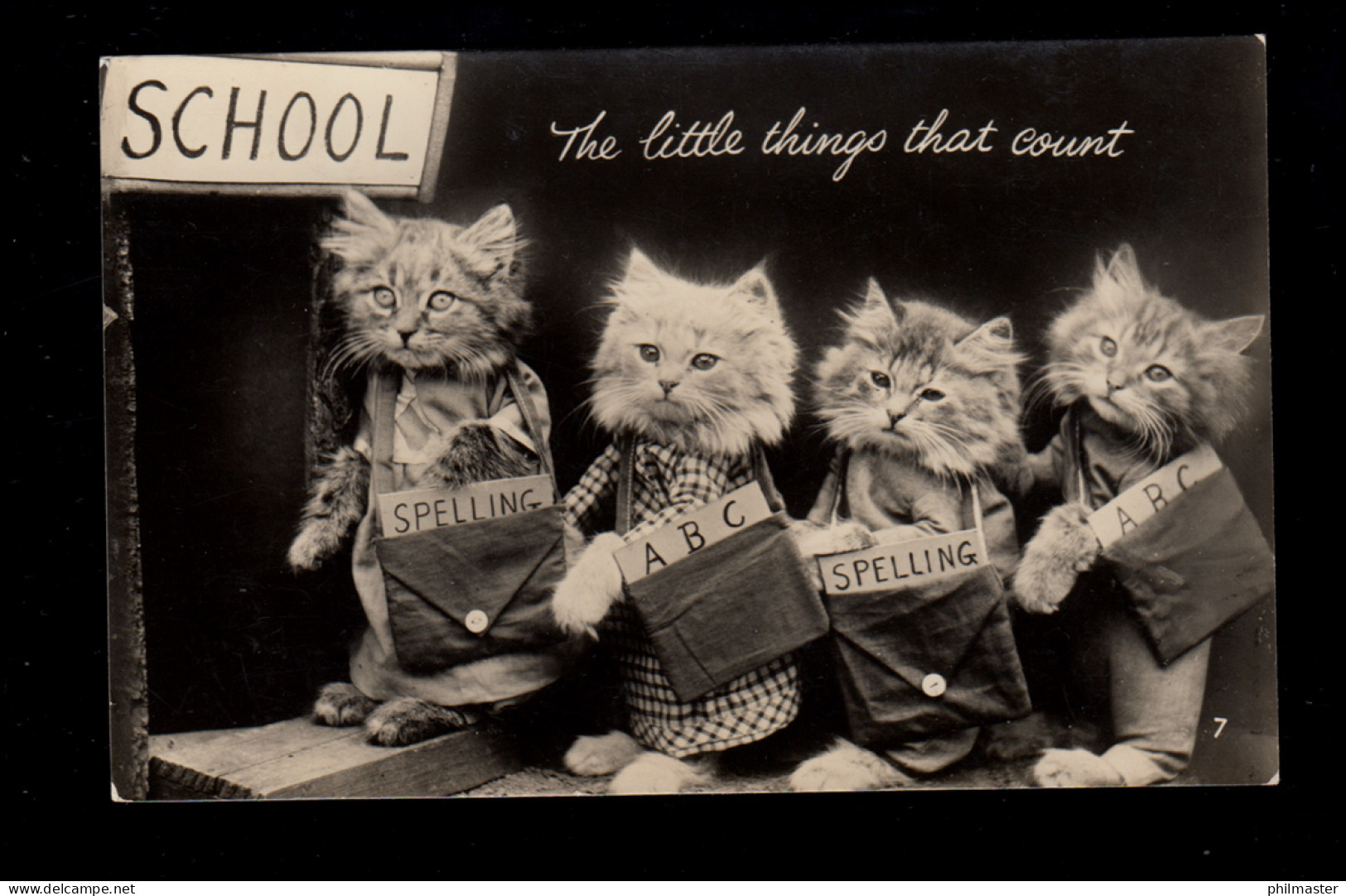 Foto-AK Vermenschlichte Tiere: Stehende Katzen Mit Schultaschen Vor Der Schule - Cats