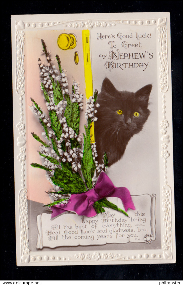 England Tiere-AK Geburtstag: Schwarze Katze Mit Blumen, Beschriftet - Cats