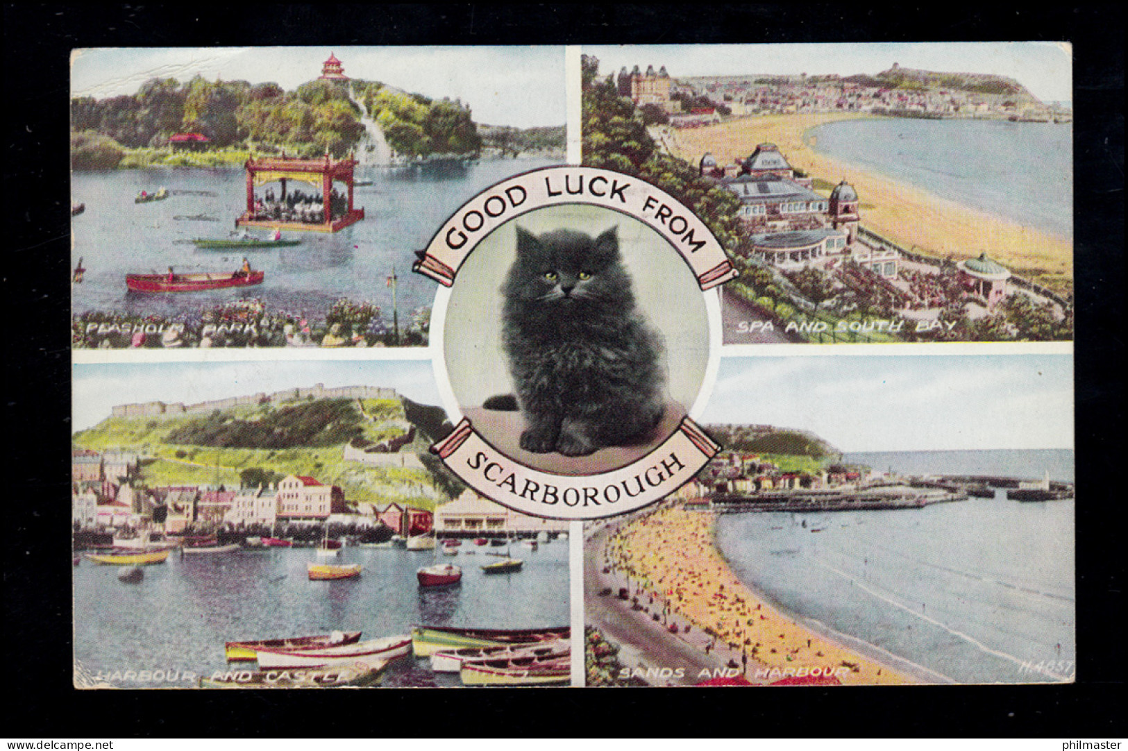 England AK Scarborough: Schwarze Katze Und Vier Landschaften, 29.7.1953 - Katzen