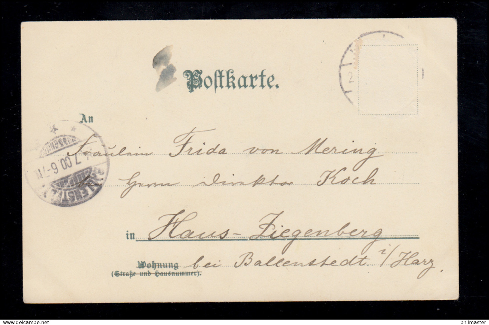 Tiere-AK Zwei Katzen Zwischen Maiglöckchenzweig, BALLENSTEDT 24.7.1900 - Cats