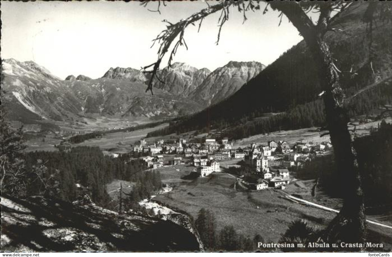 11309724 Pontresina Pontresina Mit Albula Und Crasa Mora
 Pontresina - Andere & Zonder Classificatie