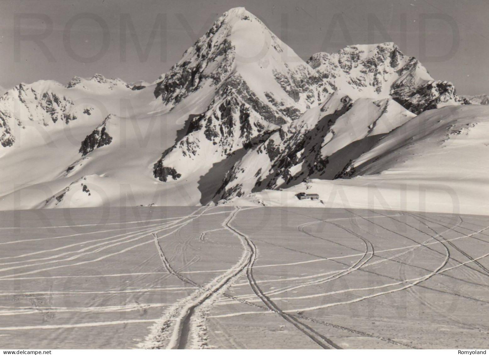 CARTOLINA  C13 RIFUGIO CASATI M.3269,BOLZANO,TRENTINO ALTO ADIGE-GRAN ZEBRU M.3859-VACANZA,MONTAGNA,NON VIAGGIATA - Bolzano (Bozen)