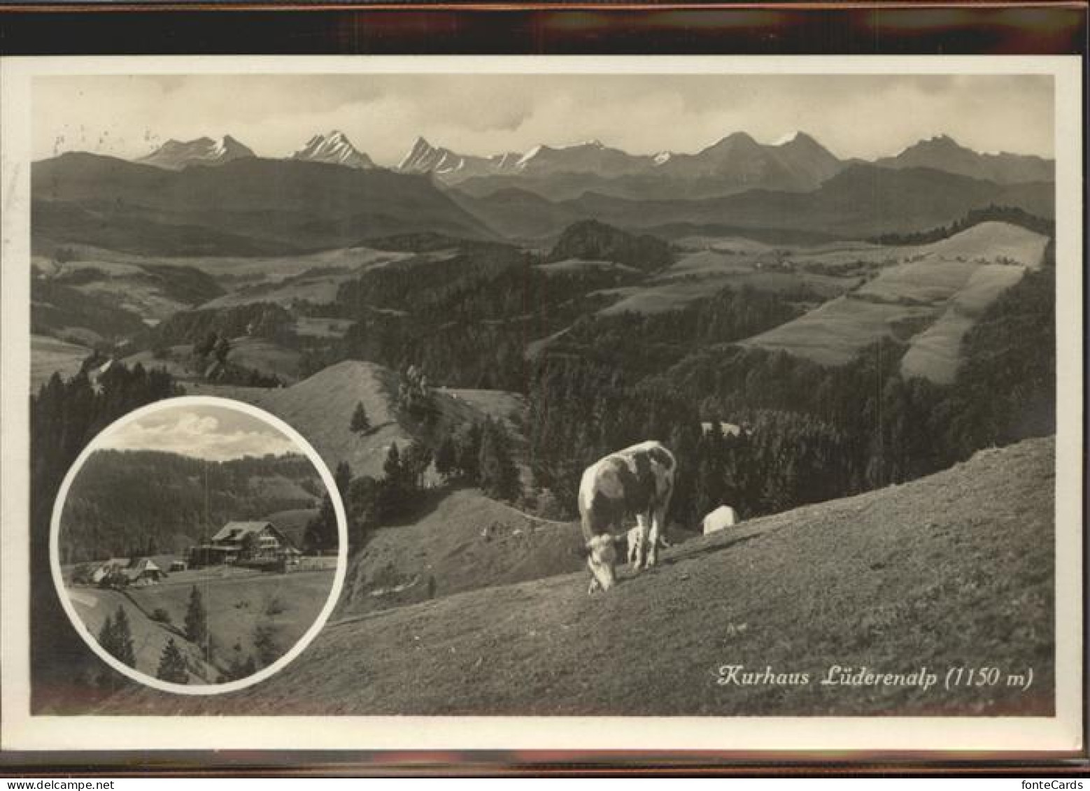 11308715 Luederenalp Kurhaus Kuh Luederenalp - Autres & Non Classés