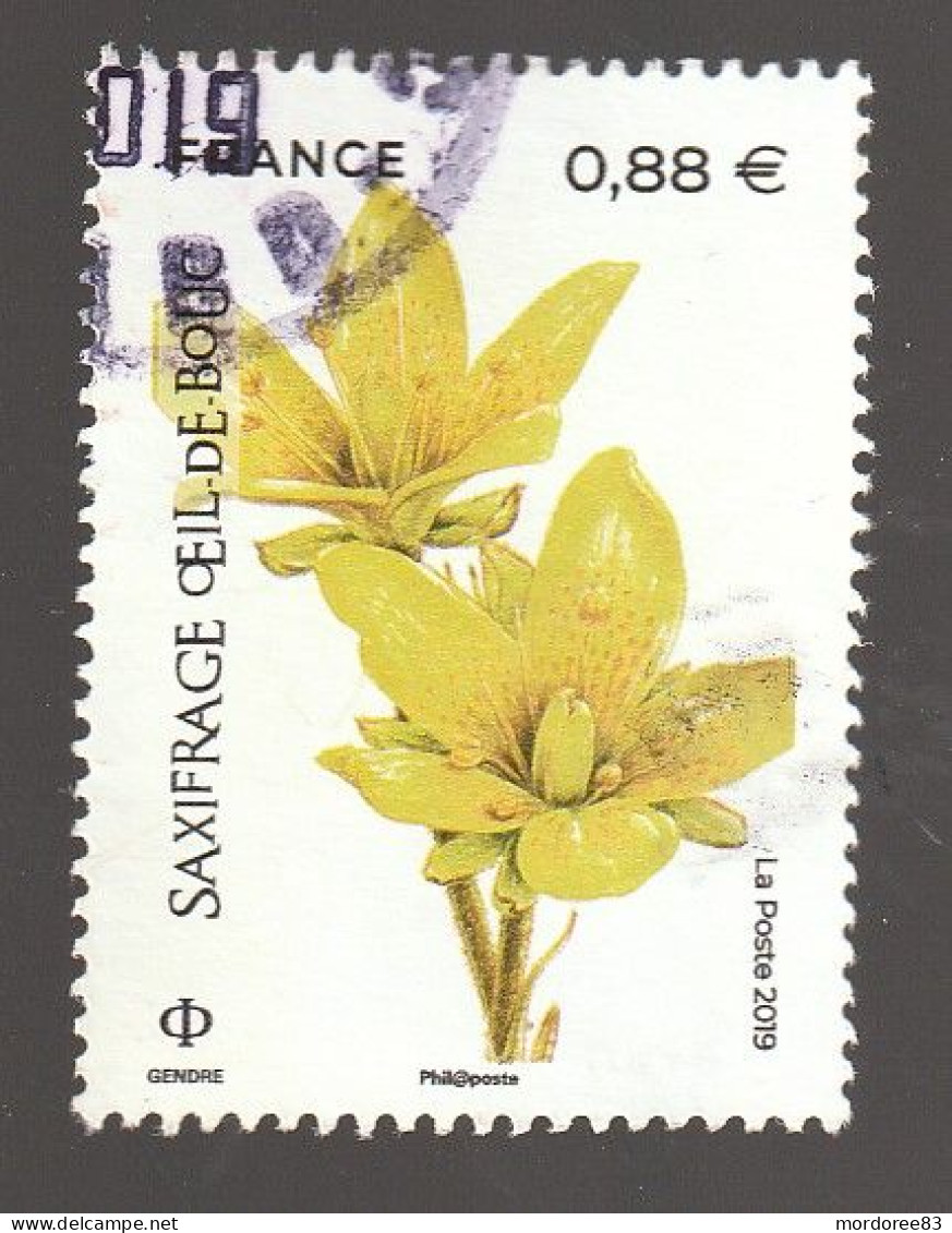 FRANCE 2019 Saxifrage Oeil De Bouc YT 5322 OBLITERE - Used Stamps