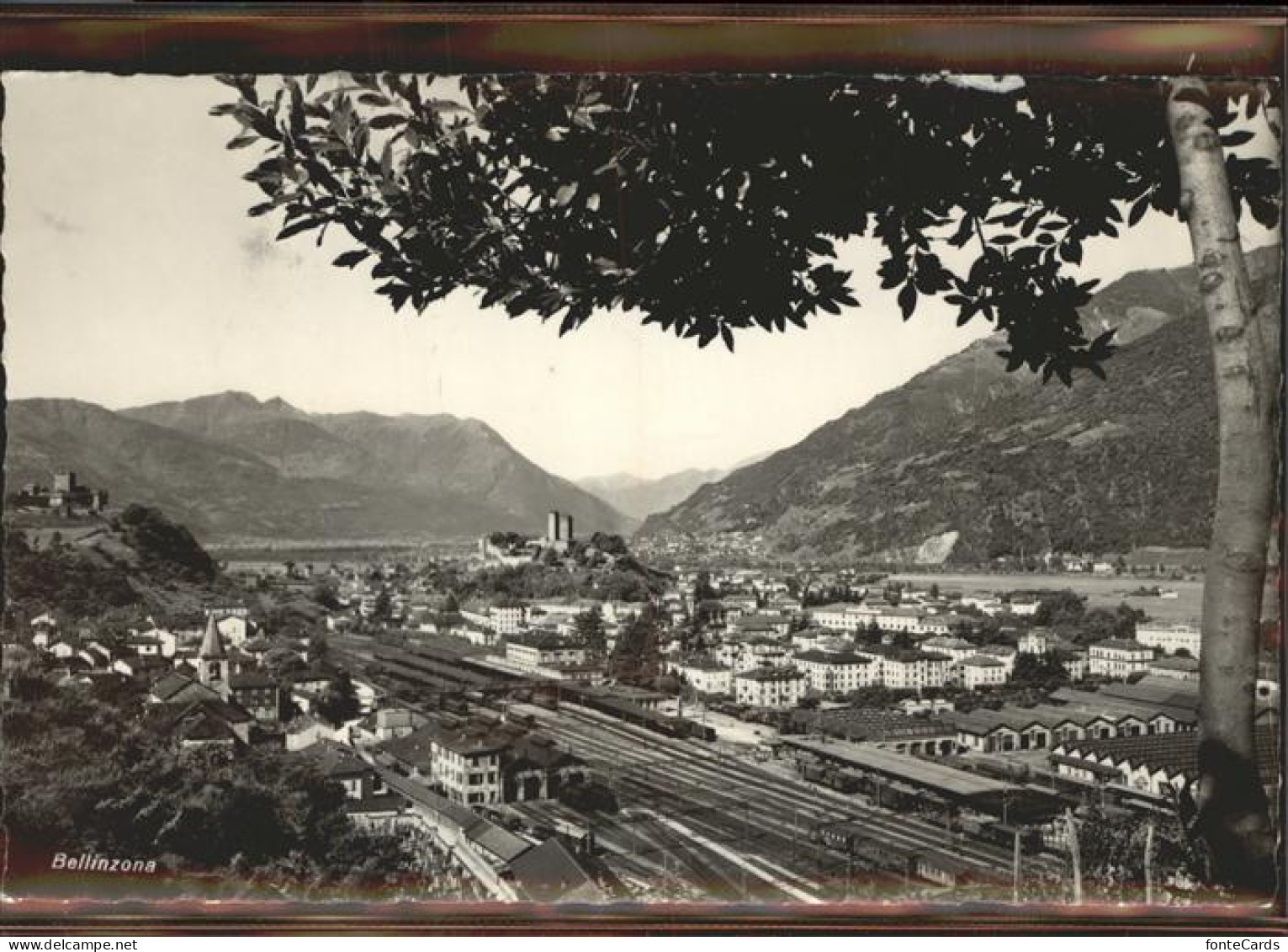 11308656 Bellinzona Panorama Da Nord Bellinzona - Autres & Non Classés