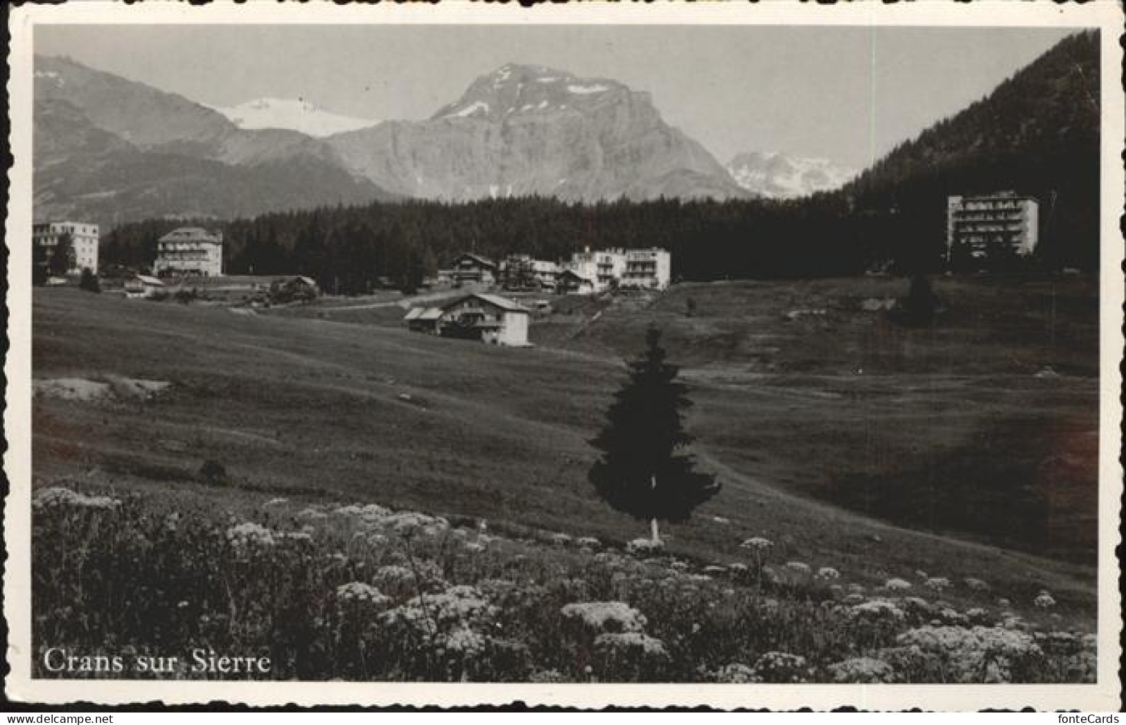 11308608 Crans-sur-Sierre Panorama Crans-sur-Sierre - Autres & Non Classés