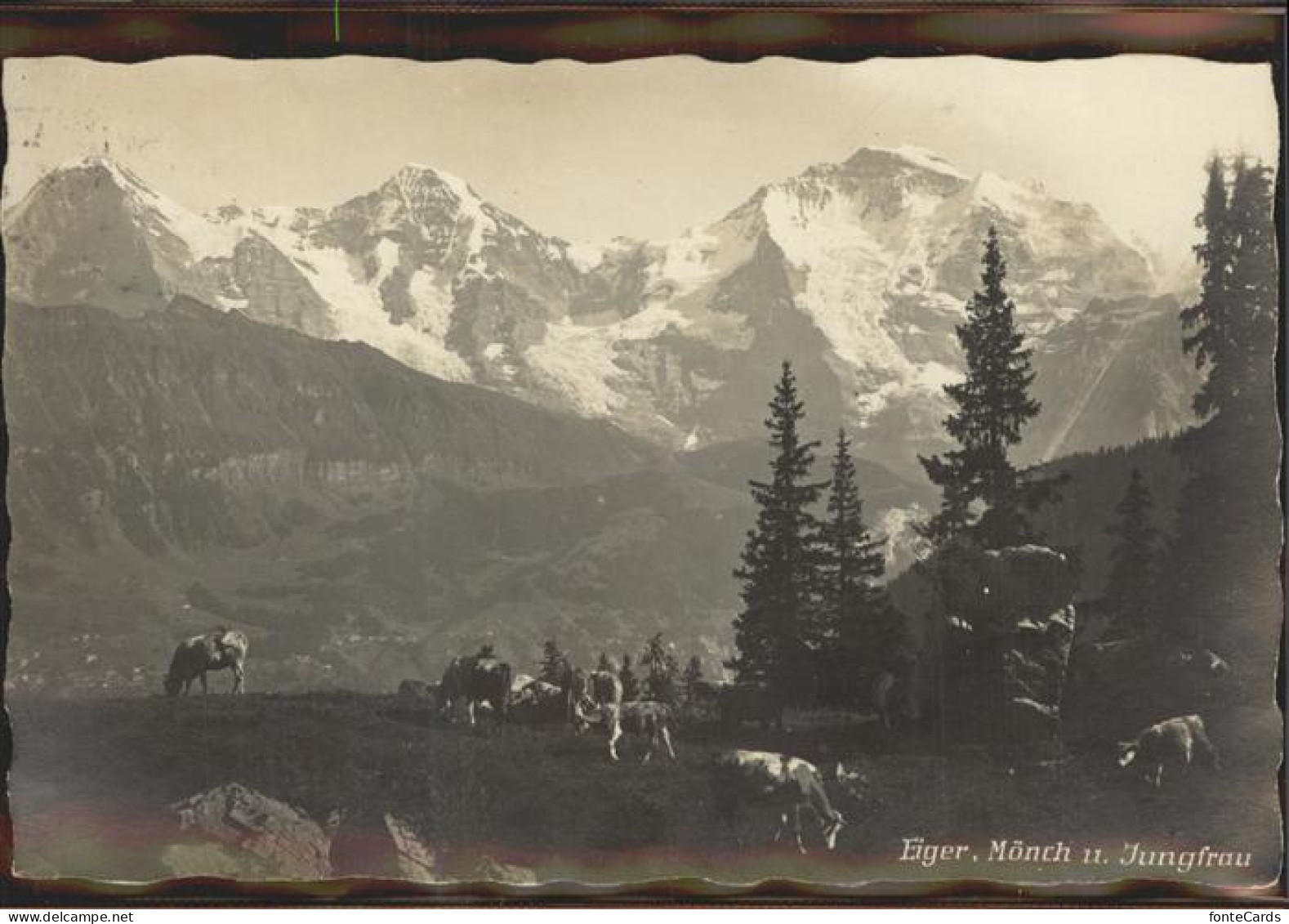 11308530 Isenfluh Eiger Moench Jungfrau Isenfluh - Andere & Zonder Classificatie