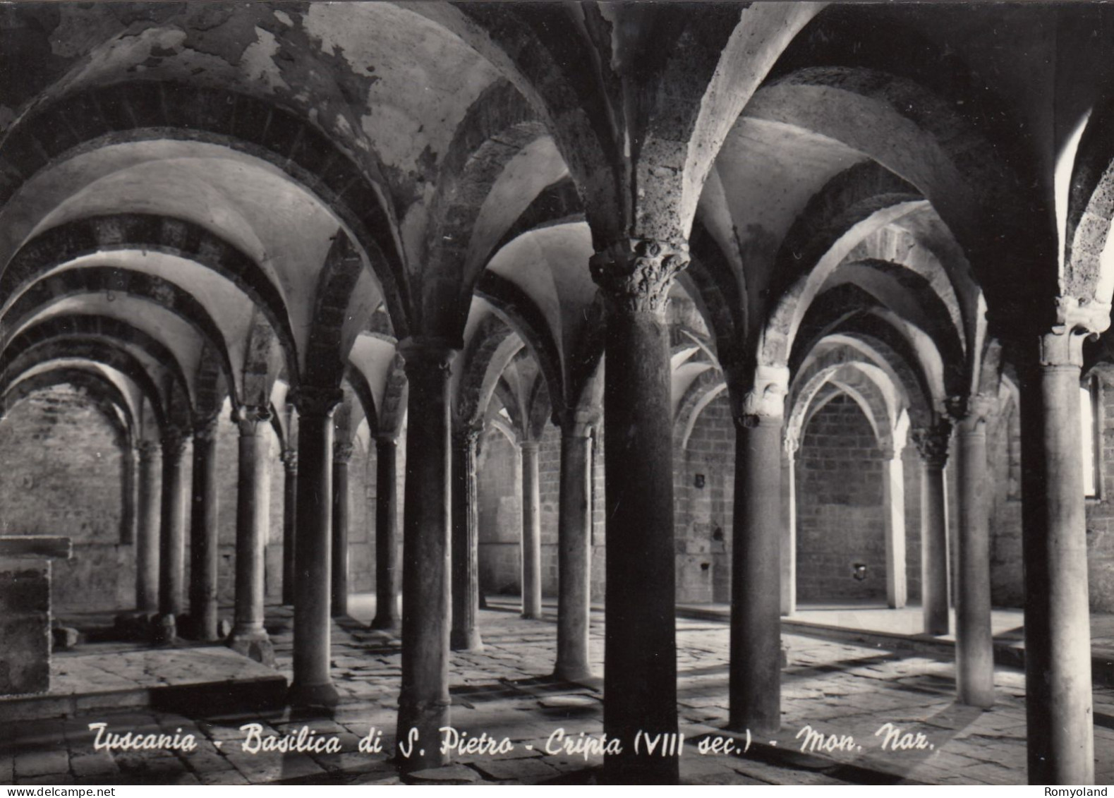 CARTOLINA  C13 TUSCANIA,VITERBO,LAZIO-BASILICA DI S.PIETRO-CRIPTA (sec.VIII)- MONUMENTO NAZIONALE-STORIA,NON VIAGGIATA - Viterbo