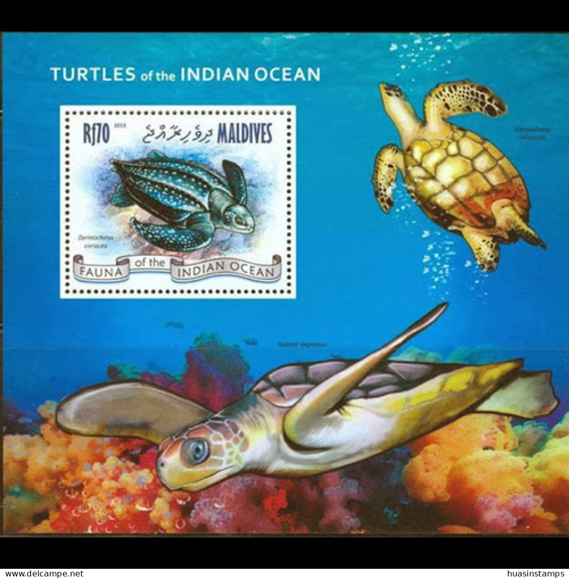 MALDIVES 2013 - Scott# 3041 S/S Turtle MNH - Maldives (1965-...)