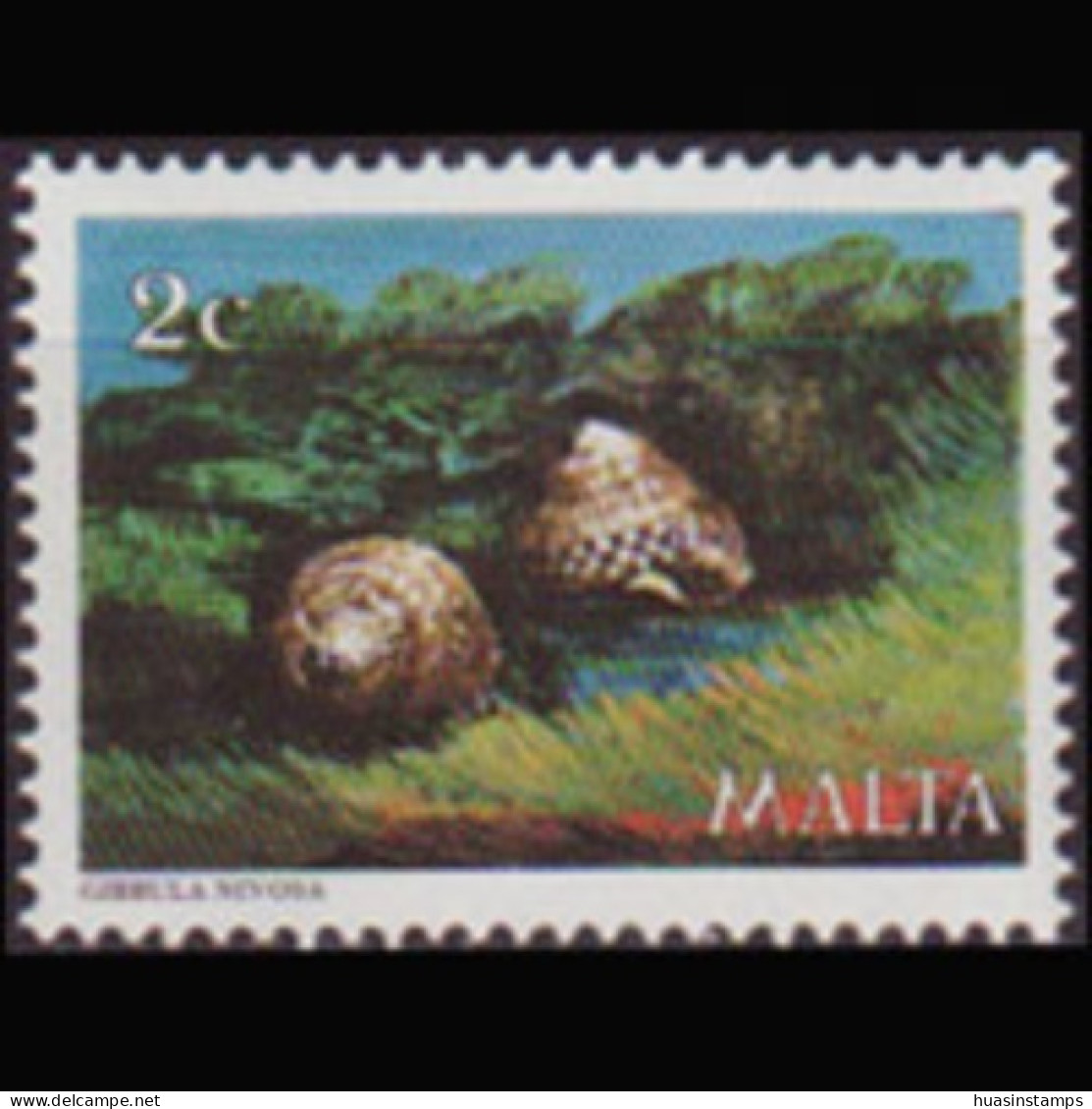 MALTA 1979 - Scott# 563 Seashell 2c MNH - Malte