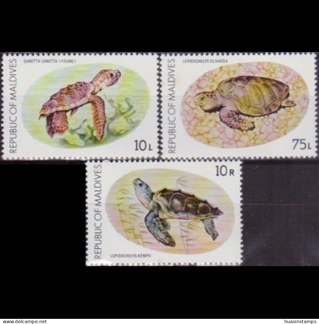 MALDIVES 1980 - Scott# 844-6 Turtles 10l-10r MNH - Maldives (1965-...)