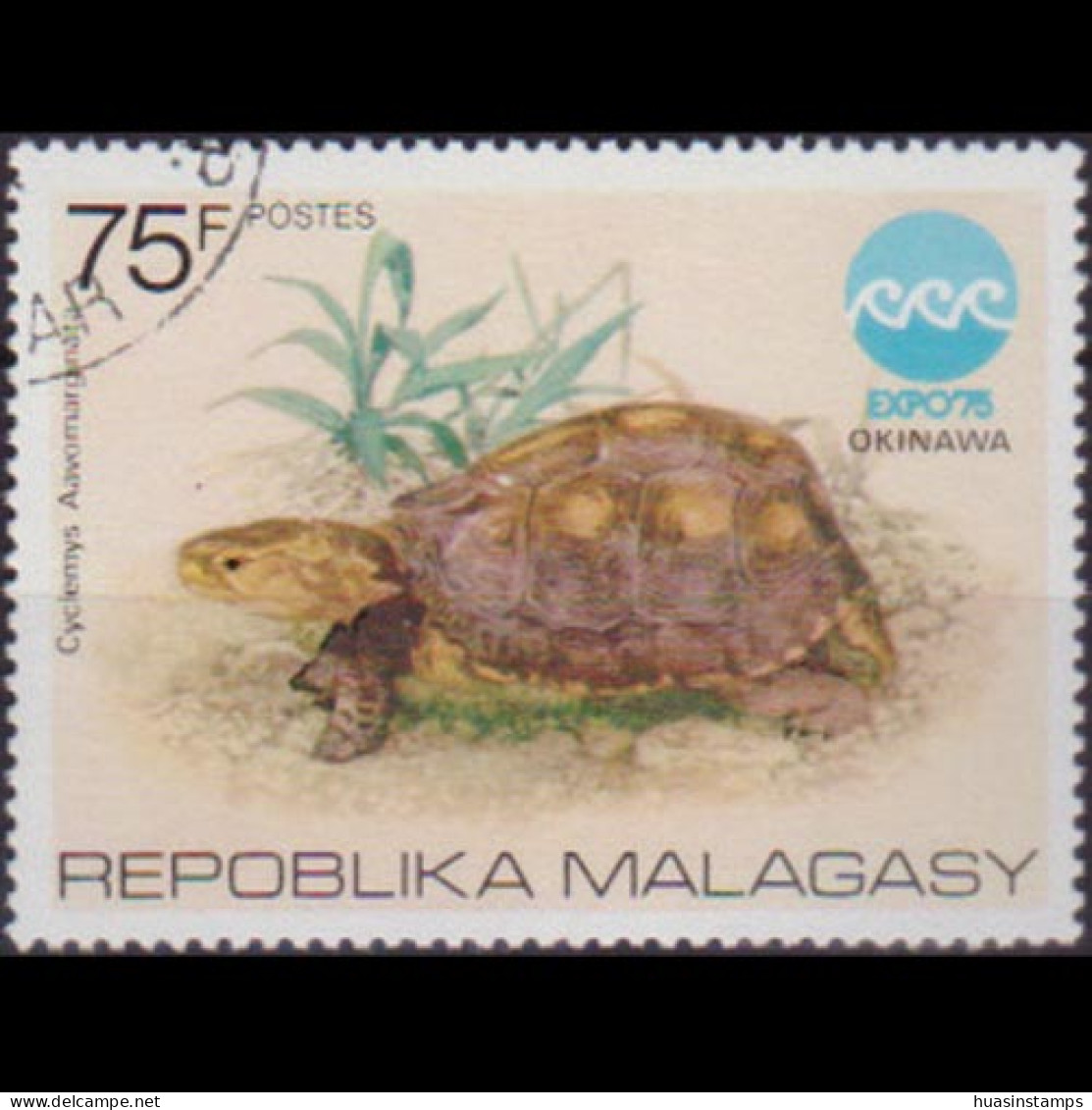 MALAGASY 1975 - Scott# 535 Box Tortoise 75c Used - Madagaskar (1960-...)