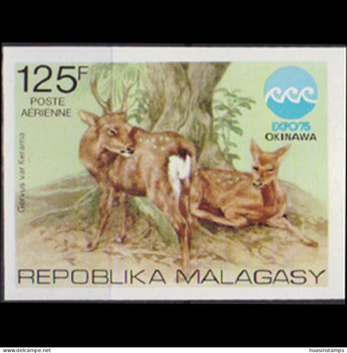 MALAGASY 1975 - Scott# C145 Expo.-Deer Imp. Set Of 1 MNH - Madagaskar (1960-...)