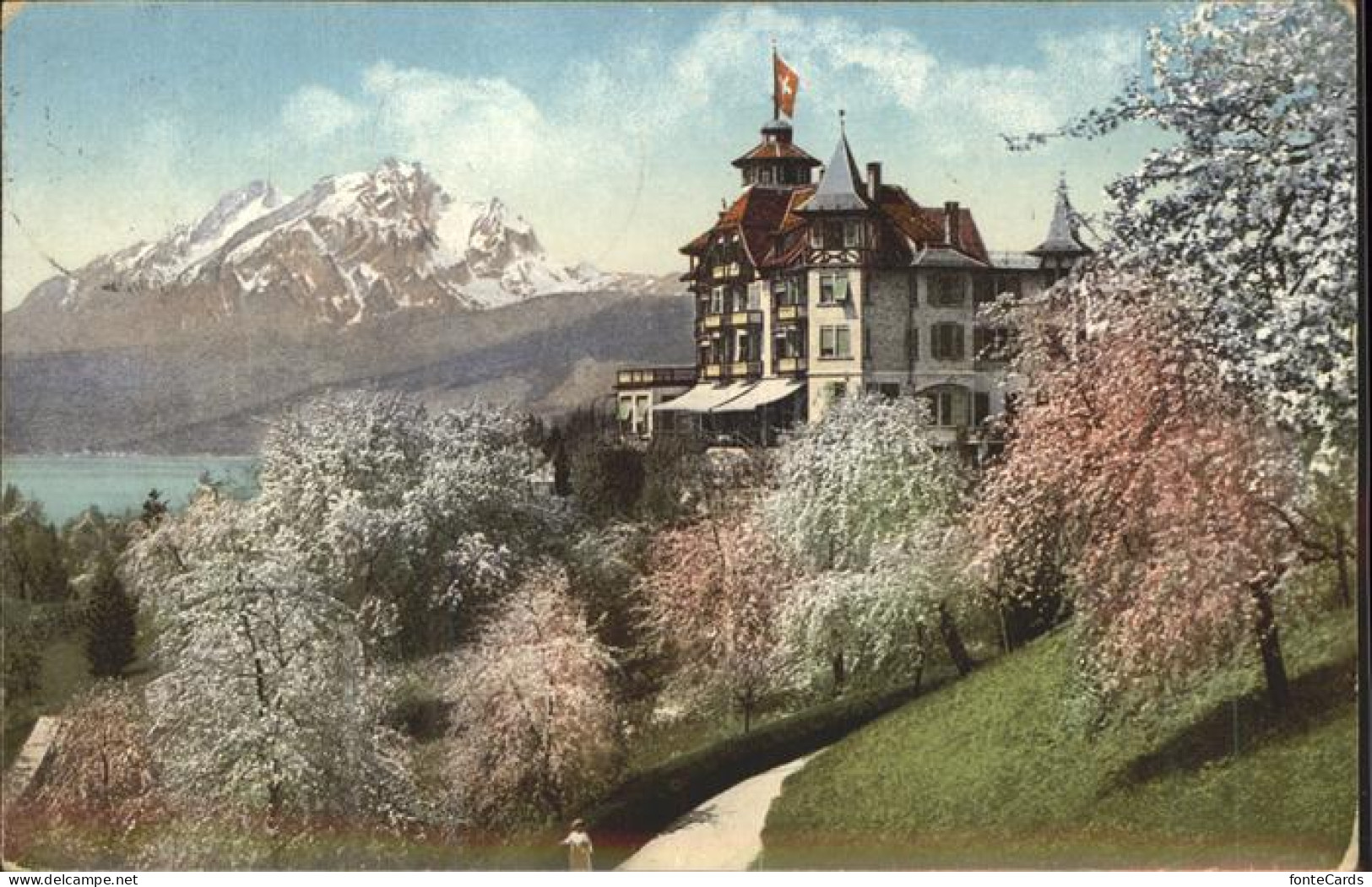 11306648 Weggis Vierwaldstaettersee Hotel Alpenblick Mit Pilatus Baumbluete Vier - Autres & Non Classés