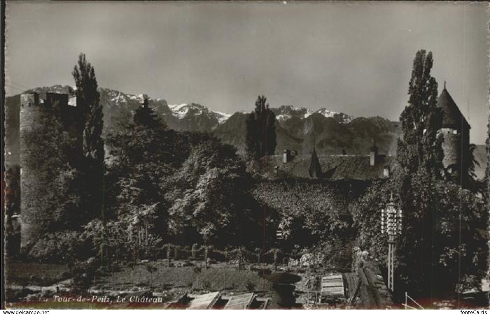 11306574 La Tour-de-Peilz Chateau Et Les Alpes De Savoie La Tour-de-Peilz - Autres & Non Classés